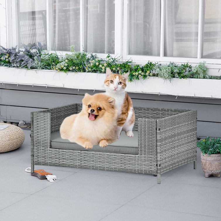 Wicker raised dog outlet bed